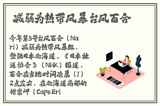 久久久无码精品亚洲日韩按摩